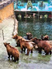 深圳野生動物園：瞬間拉近野生世界與人的距離