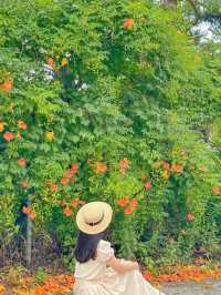 조만간 또 피면 여기서 만나🍃🧡