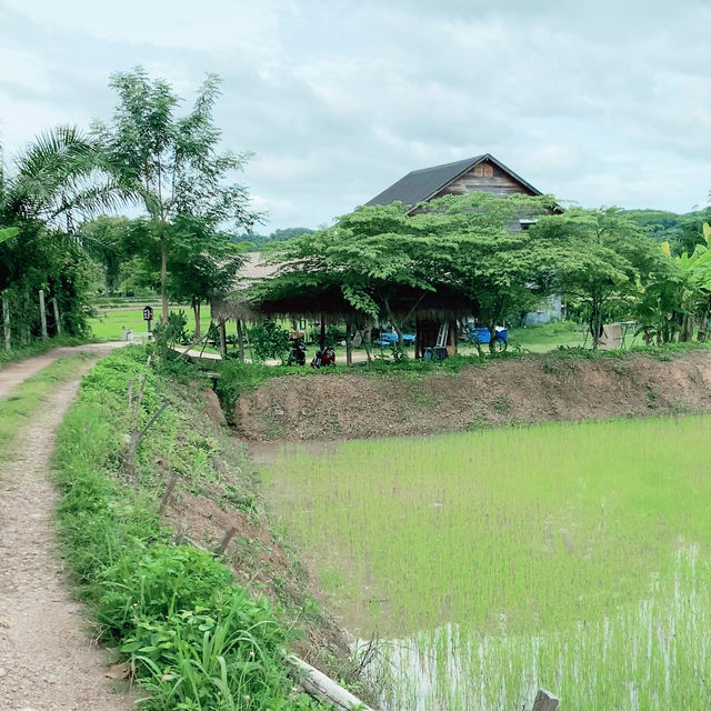 นาตาทา Cafe’ and Farm Stay