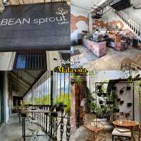 Bean Sprout Café