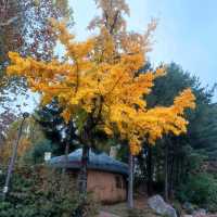 韓國必去免費親子遊 - 兒童大公園