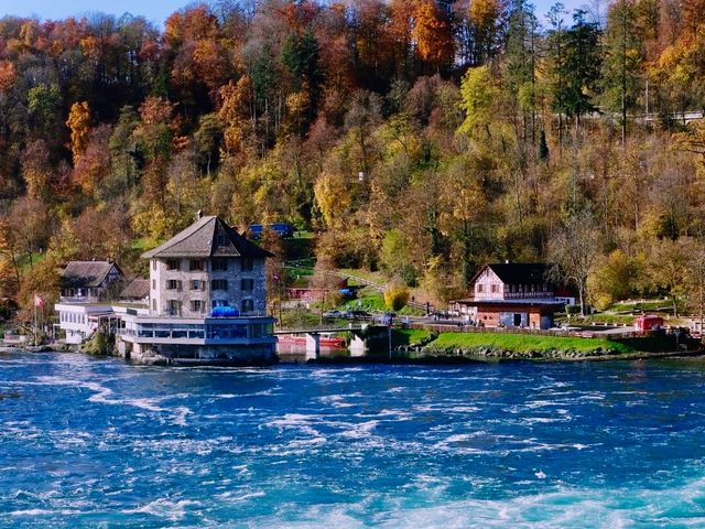 Stunning Autumn at Neuhausen am Rheinfall