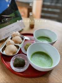 箱根旅行で外せない！！おすすめグルメ7選🤤💓♨️【箱根】