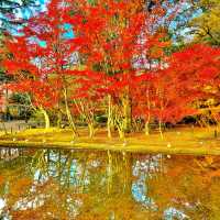 曽木公園