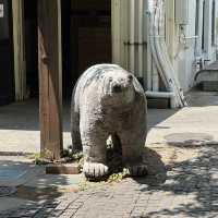 【神奈川】歴史と食の融合、熊澤酒造の世界