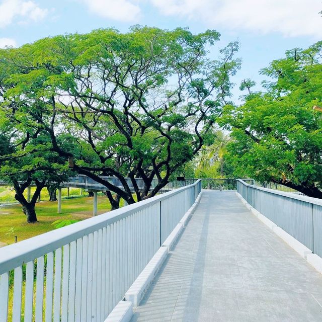 ขับรถไปสวนเบญจกิติ