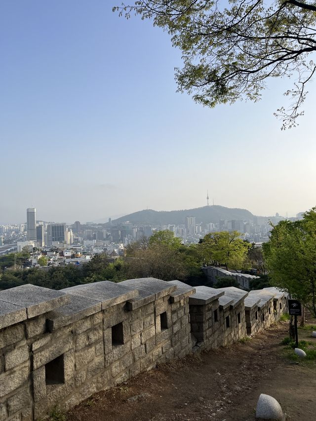 이번 주말에는 서울 낙산공원에서 봄꽃 구경 어떠세요? 🫶