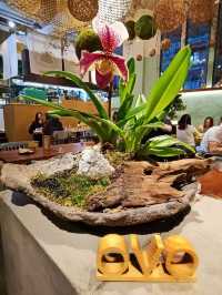 回歸初心 • 園藝素食 OVO Cafe