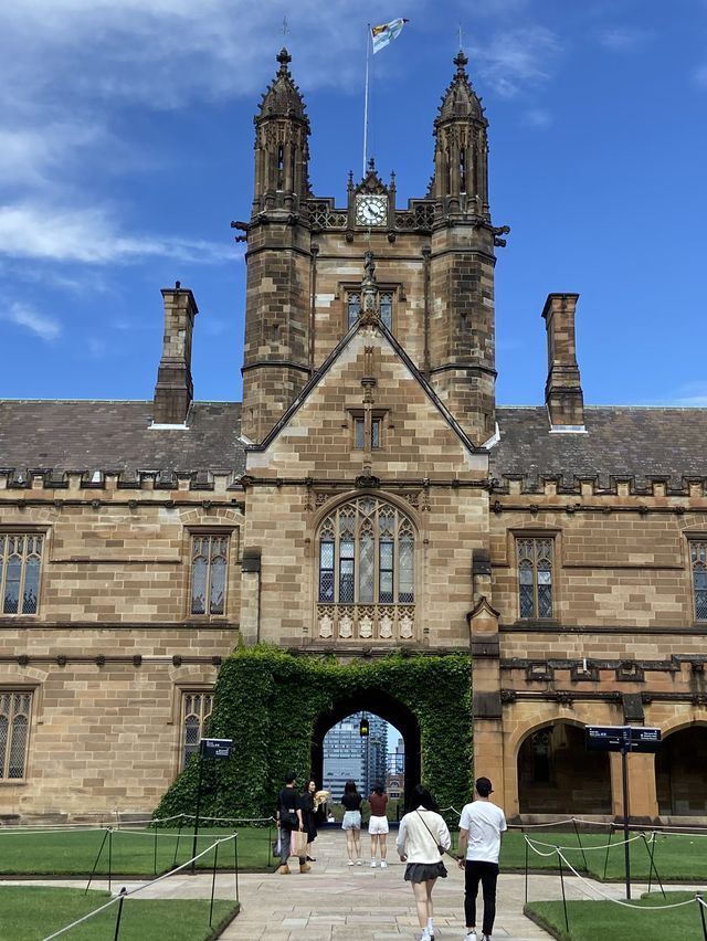 지구 건너편 호주 시드니 🇦🇺