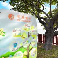 可以預約的營地｜獨立空間｜