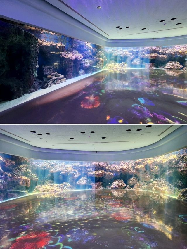 【桃園】X-PARK 水族館：沉浸式體驗海洋世界