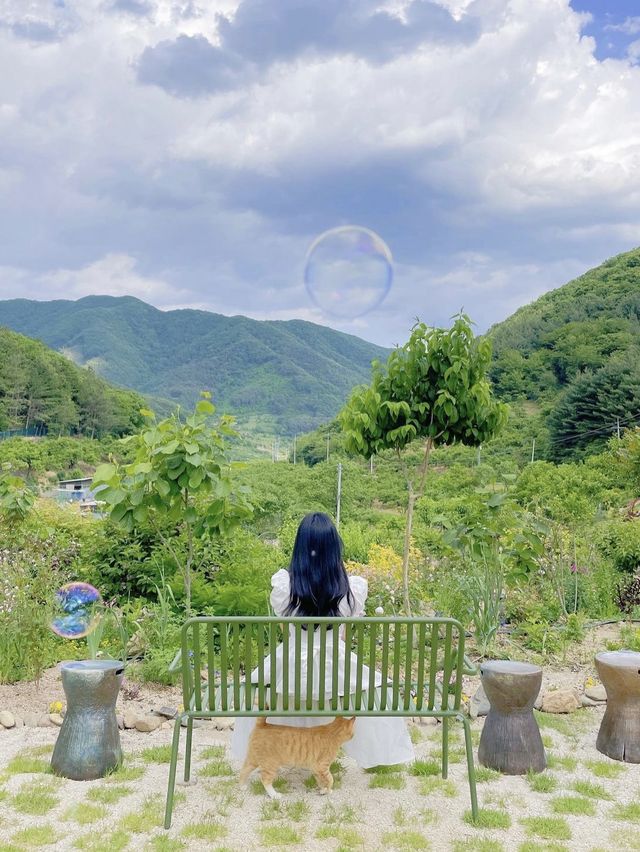 산속에 위치한 독채펜션 예사랑 도자기공예도 했어요🌱💚