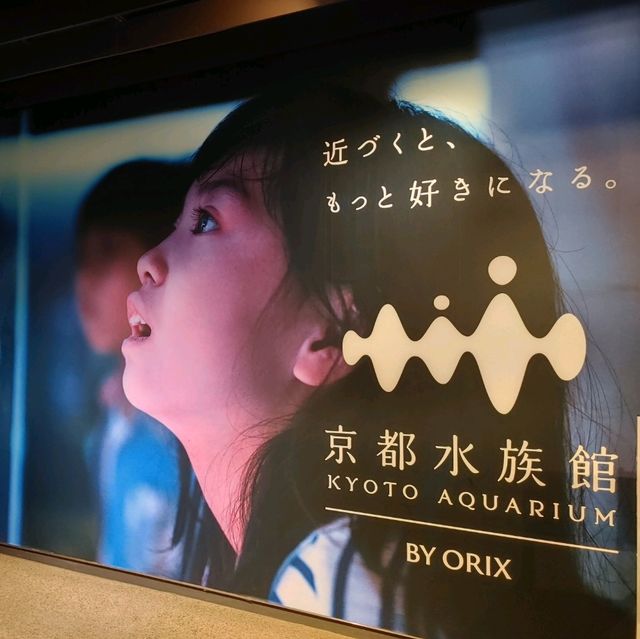 海のいきもの系ベビーグッズが豊富！京都水族館