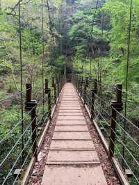 心が癒される高尾山