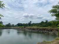 หินลาวาบะซอลต์ที่บุรีรัมย์