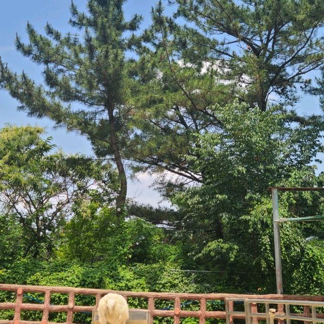 진주 진양호 동물원