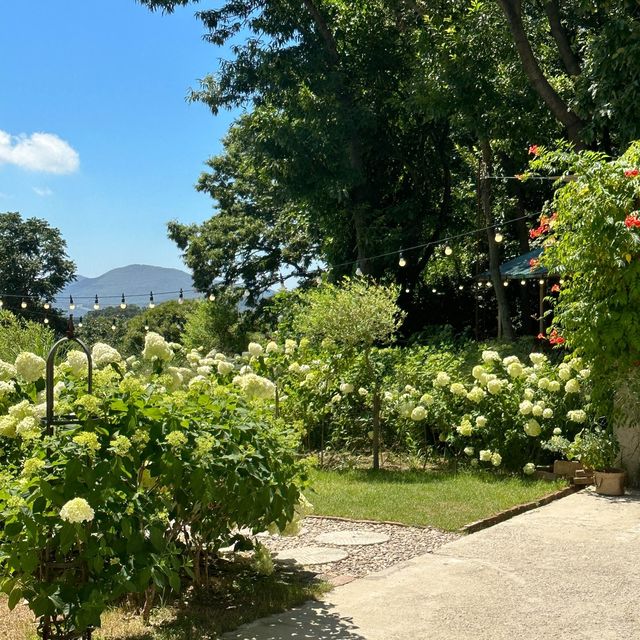 영종도 여름수국 맛집 카페🌴💚