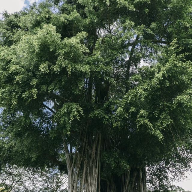 📝 福康寧公園🌳✨ 螺旋樓梯打卡位✨
