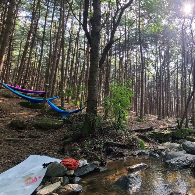 전망, 약수터, 계곡이 멋진 하남 검단산