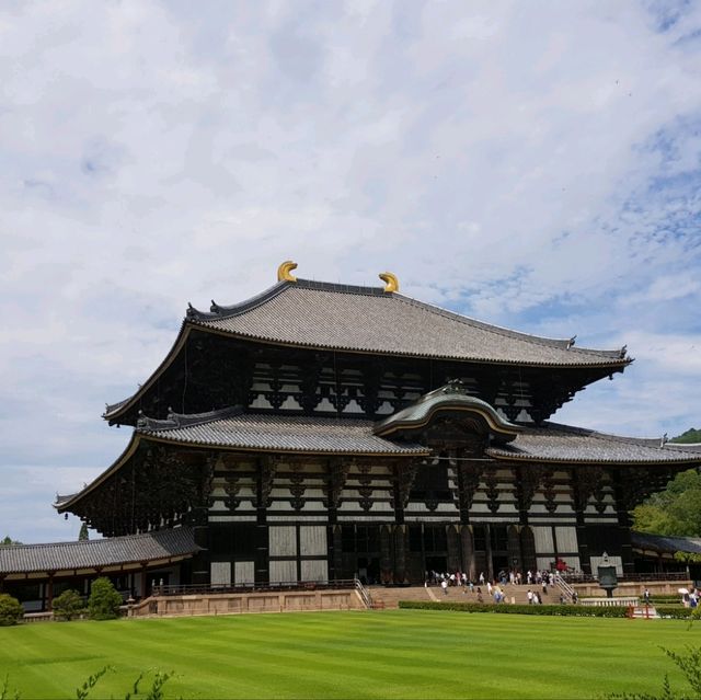 日本必到✍️奈良東大寺
