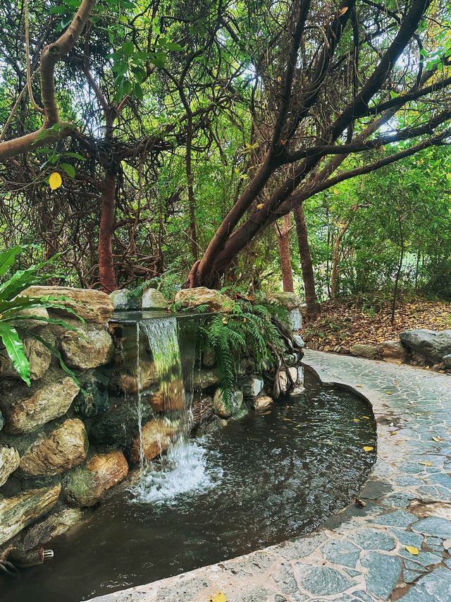 [台中] 迷你的亞馬遜熱帶雨林 在雨林溫室觀賞各種植物 -自然科學博物館植物園