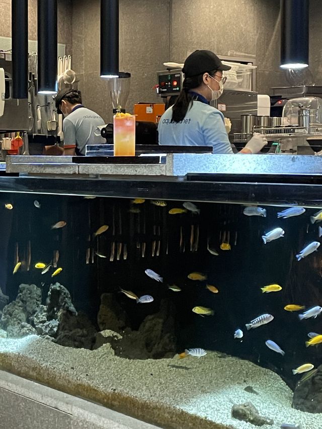 들어는 봤니?! 수족관카페 “청수당”
