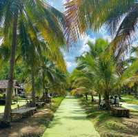 치앙마이 바파오 코코넛 플리마켓 이색적인 동남아 풍경🌴