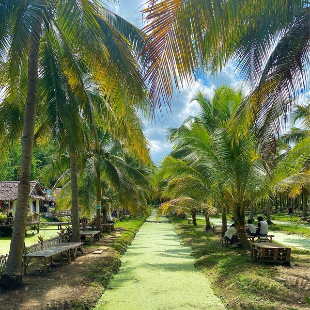 치앙마이 바파오 코코넛 플리마켓 이색적인 동남아 풍경🌴