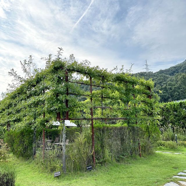이천의 보물 푸른 에덴파라다이스🌲