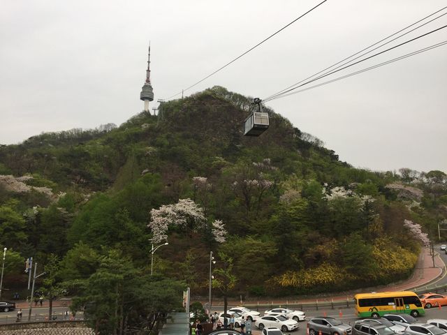 首爾塔+南山公園半日遊