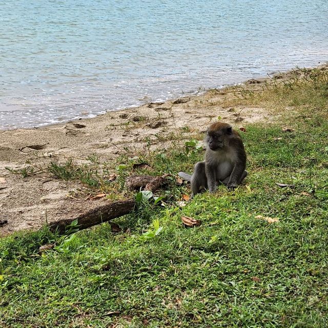 Kusu Island