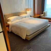 🏨🌟 台北W飯店🏨時尚前衛奢華體驗💃🌇🛌🥂🌸
