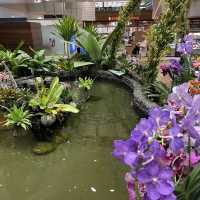 Changi Airport Newly Renovated Terminal 2