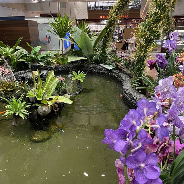 Changi Airport Newly Renovated Terminal 2