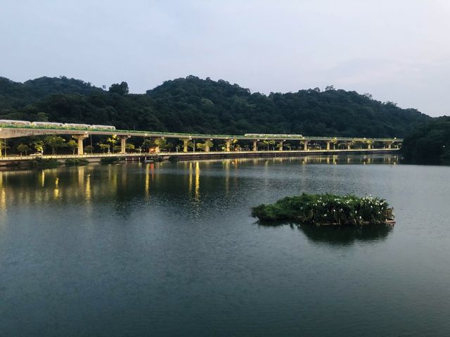 台北｜🌳🌅 Dahu Park 大湖公園