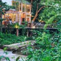 บ้านต้นไม้กลางป่าริมลำธาร บ้านในหมง treehouse 