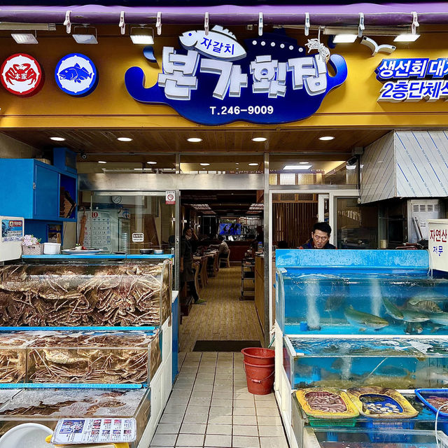 【釜山】おひとり様OK！新鮮なお刺身の海鮮ビビンバ