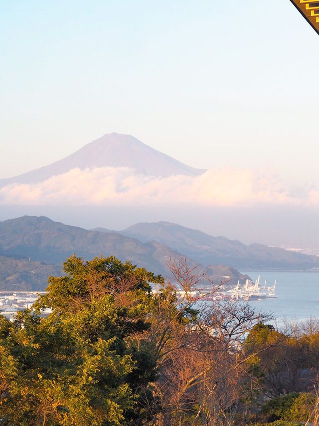 入場無料！隈研吾建築の富士山スポット「日本平夢テラス」