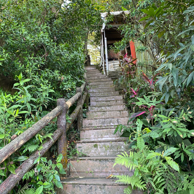 烘爐地登山步道⛰️