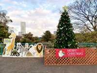 Christmas at Nogeyama Zoo