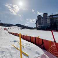 강원도 겨울 필수코스☃️ 눈썰매장으로 떠나요!