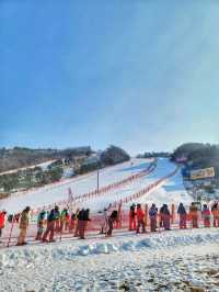 겨울 여행 최고봉, 홍천 비발디파크❄️⛷️🏂