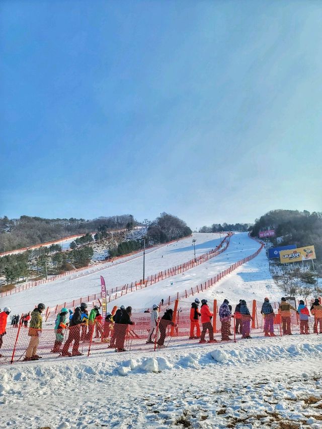 겨울 여행 최고봉, 홍천 비발디파크❄️⛷️🏂
