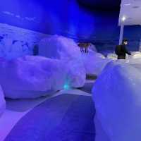 【北海道】本物の流氷を見て触れて楽しめる