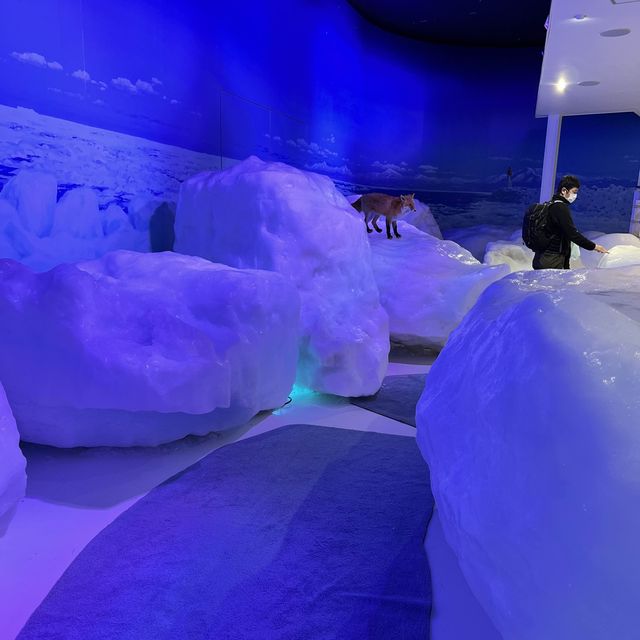 【北海道】本物の流氷を見て触れて楽しめる
