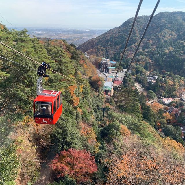楓葉滿山的美景