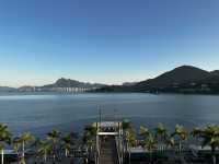 本地遊｜大埔海濱公園｜花種超多賞花必去