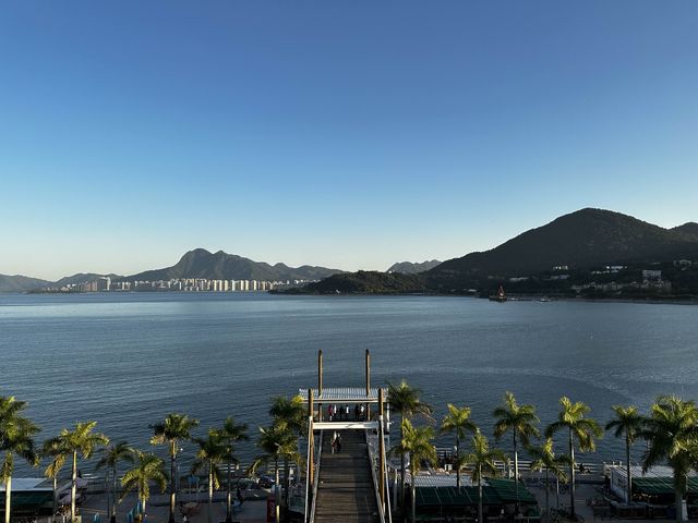 本地遊｜大埔海濱公園｜花種超多賞花必去