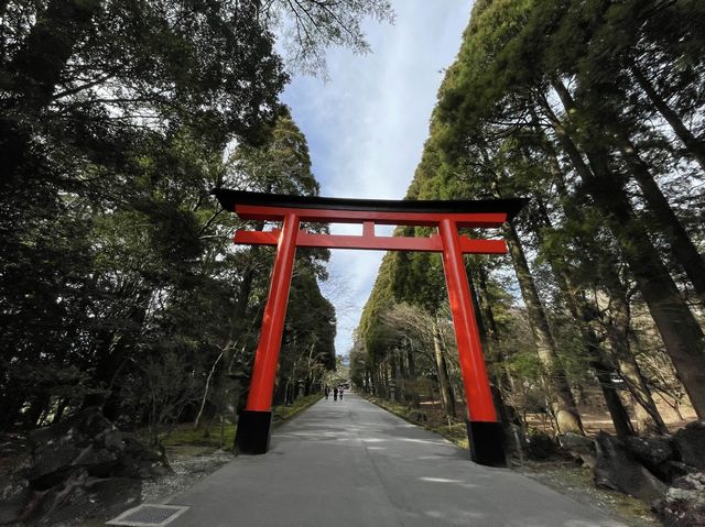 【鹿児島】坂本龍馬も訪れた霧島神宮