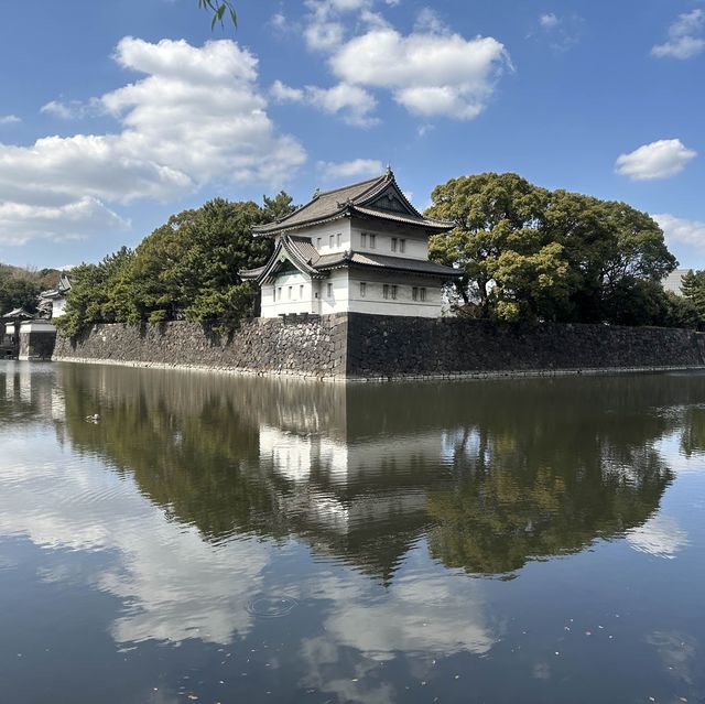 imperial palace garden - free sakura views 